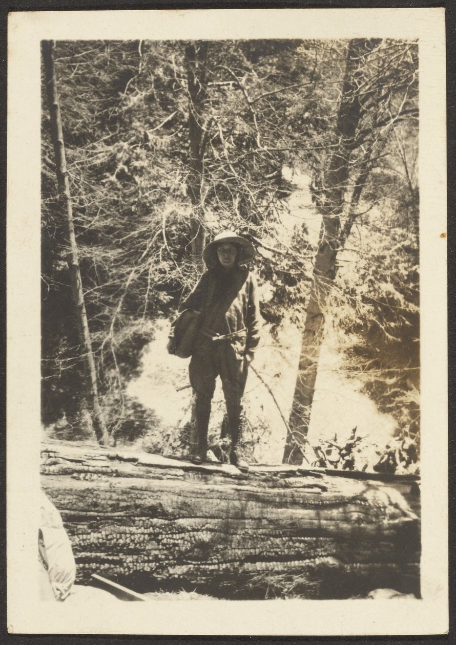 Woman Standing on Fallen Tree by Louis Fleckenstein