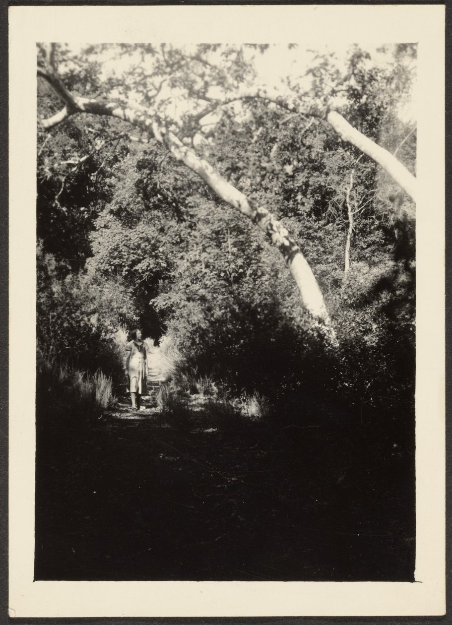 Woman on Path in Woods by Louis Fleckenstein