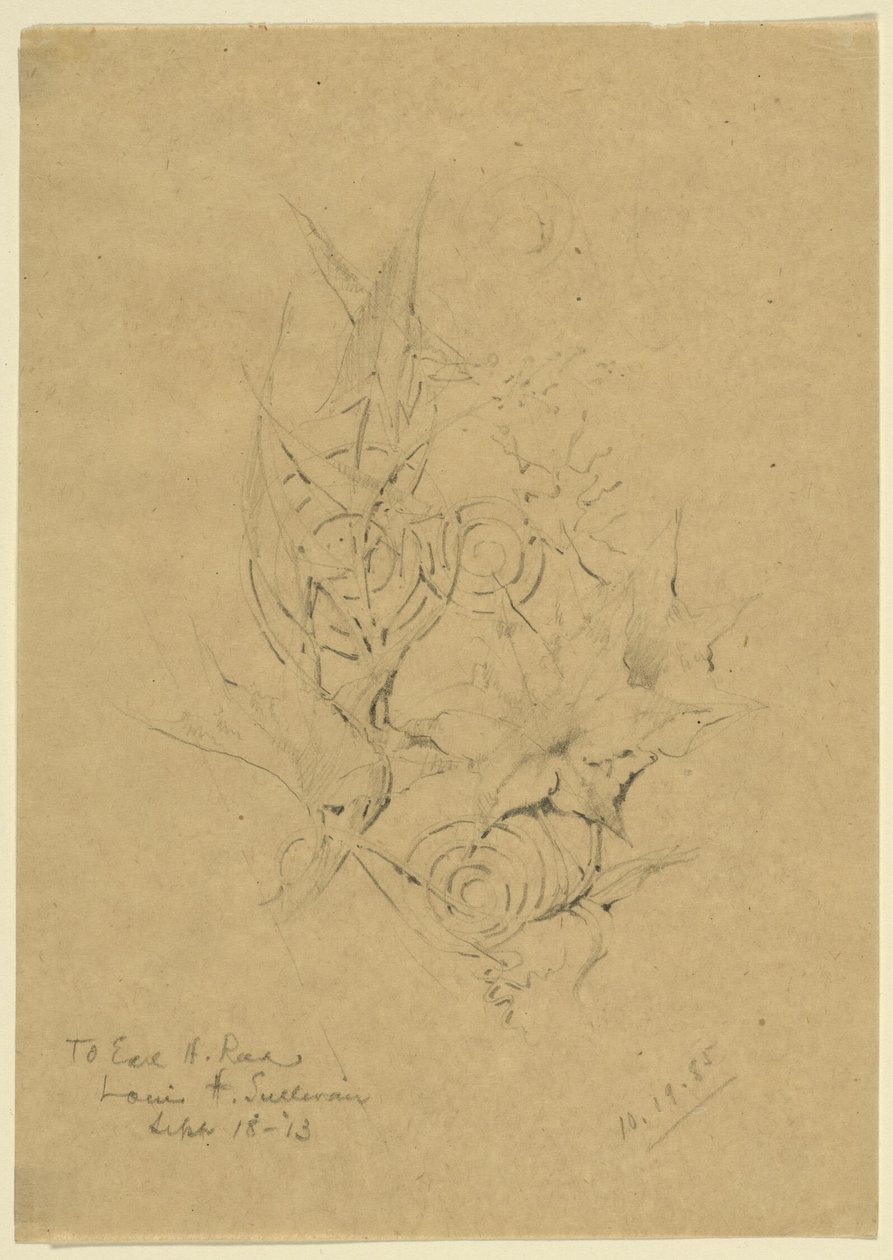 Plant Form Study by Louis H. Sullivan