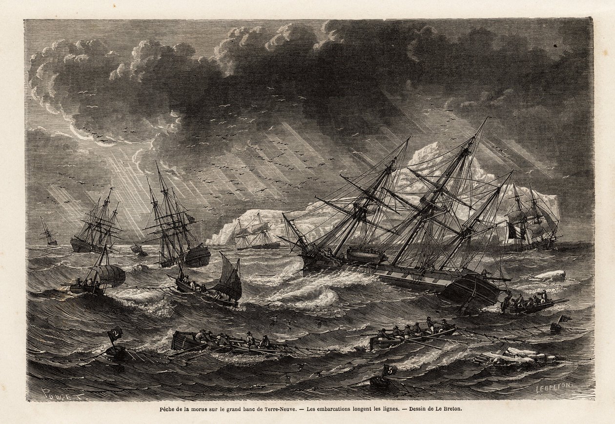 Cod fishing on the Grand Bank of Newfoundland, the boats follow the lines,  drawing by Lebreton, to illustrate the voyage to Newfoundland in 1860 by A.  de Gobineau. Engraving in “Le tour