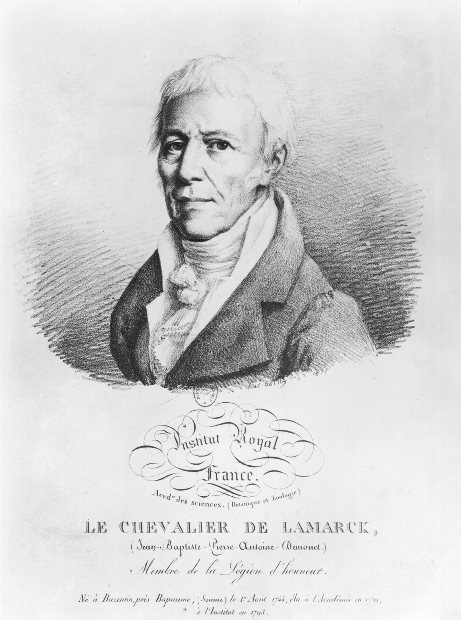 Portrait of Jean-Baptiste de Monet Chevalier de Lamarck, from 