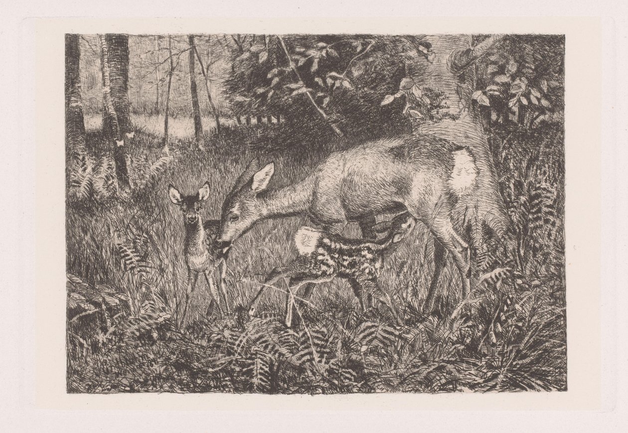 Deer with Two Fawns by Louis Theodor Lindblohm