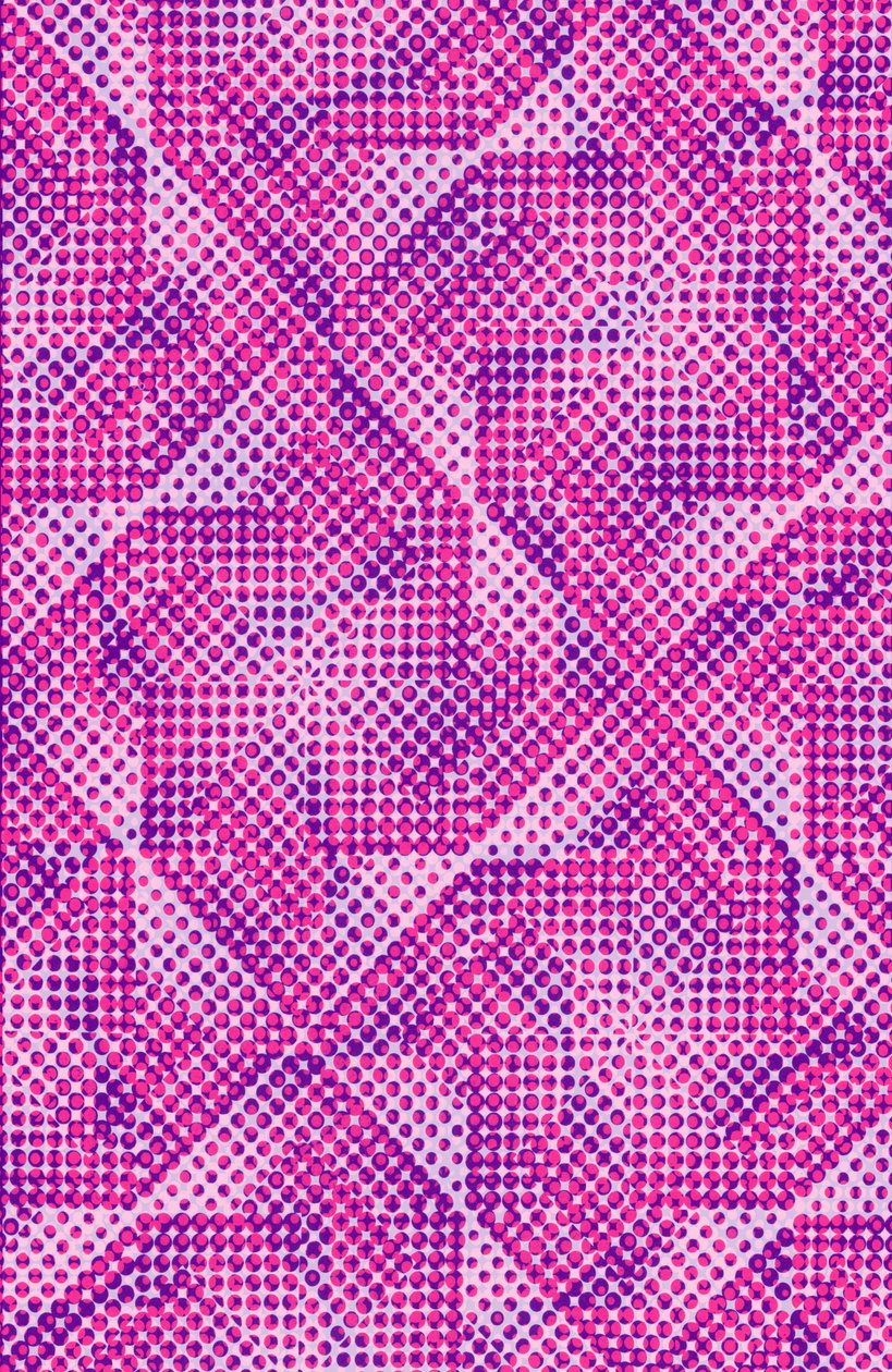Dotty by Louisa Hereford