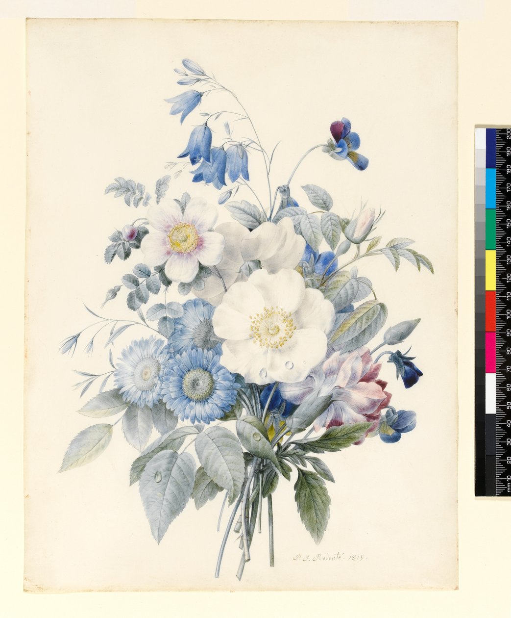 A Spray of Summer Flowers, 1820 by Louise DOrleans