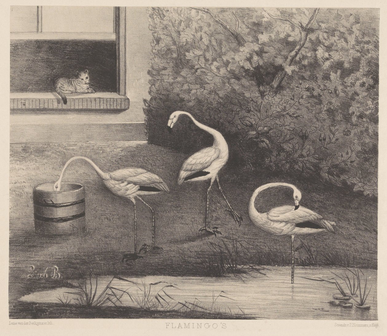 Three Flamingos and a Cat by Louise Marie Françoise van der Beek