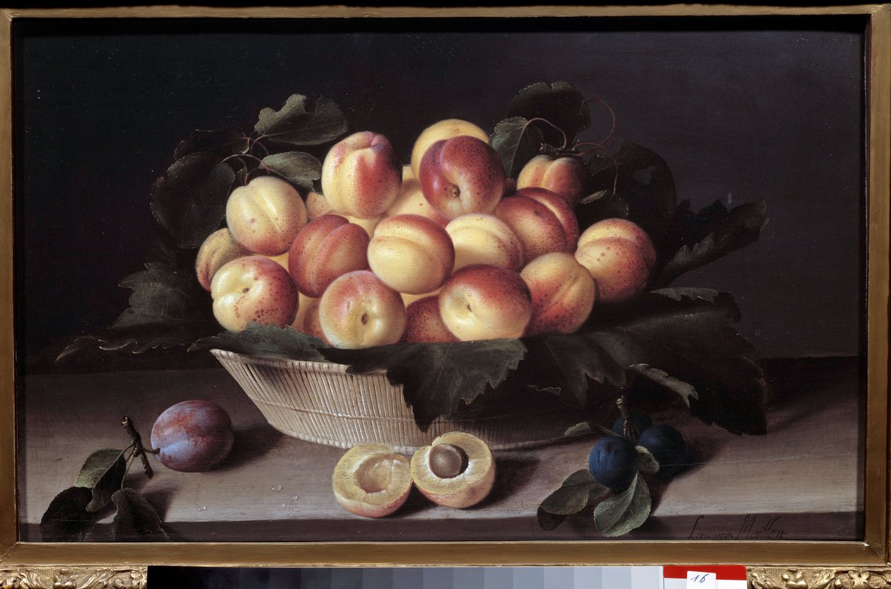 Still life with apricots by Louise Moillon by Louise Moillon