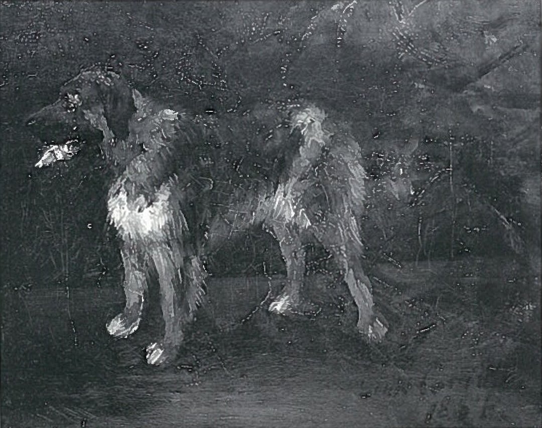 Dog Studies by Lovis Corinth