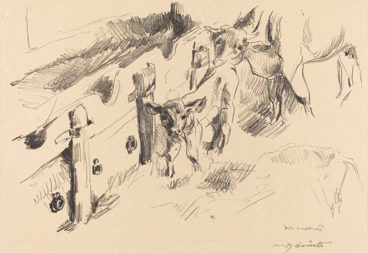 Calves by Lovis Corinth
