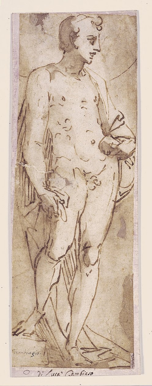 Youth with a Mantle Standing in a Niche by Luca Cambiaso