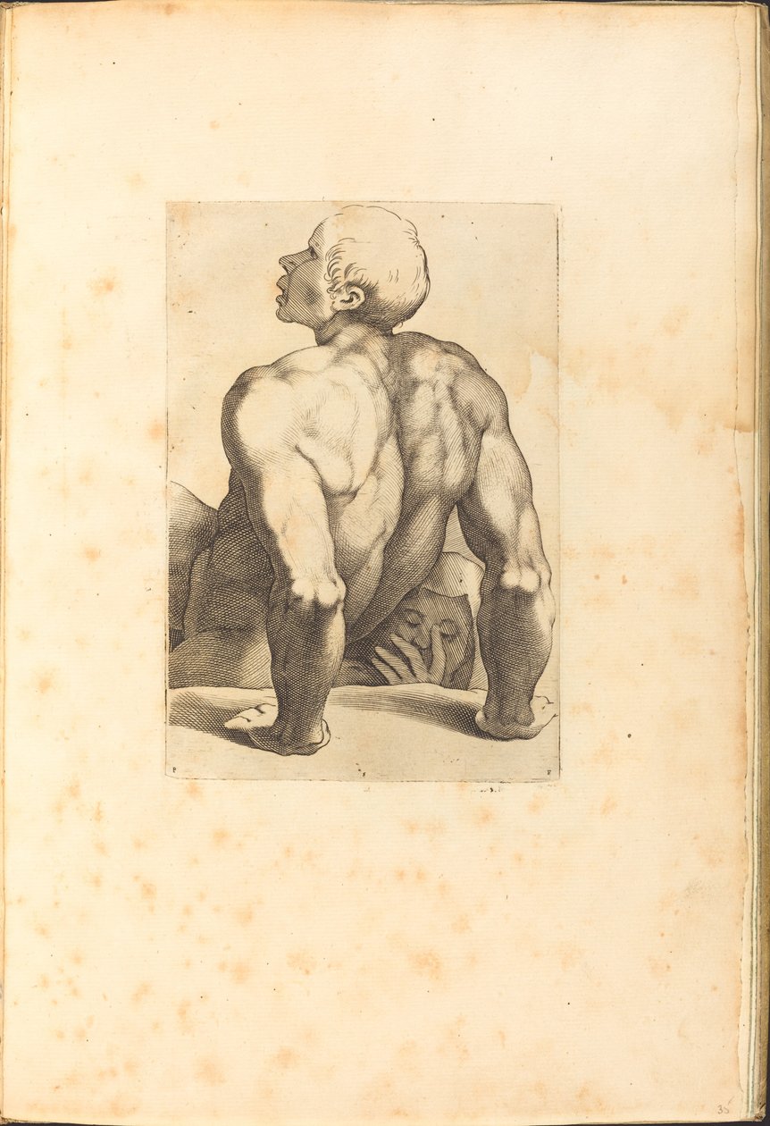 Print from Drawing Book by Luca Ciamberlano