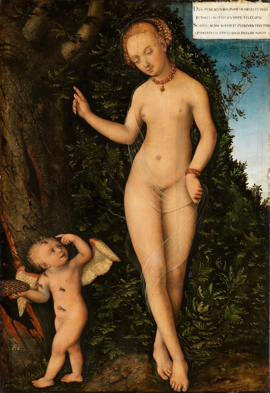 Venus and Cupid, the Honey Thief by Lucas Cranach the Elder