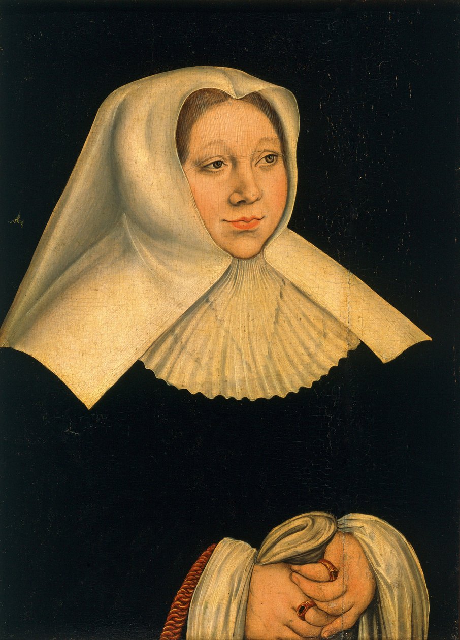 Portrait of Margaret of Austria 1480-1530, ca 1530 by Lucas Cranach the Elder