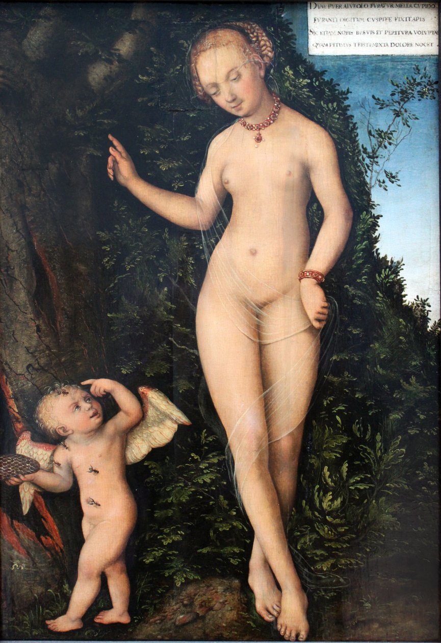 Venus and Cupid, the Honey Thief by Lucas Cranach the Elder