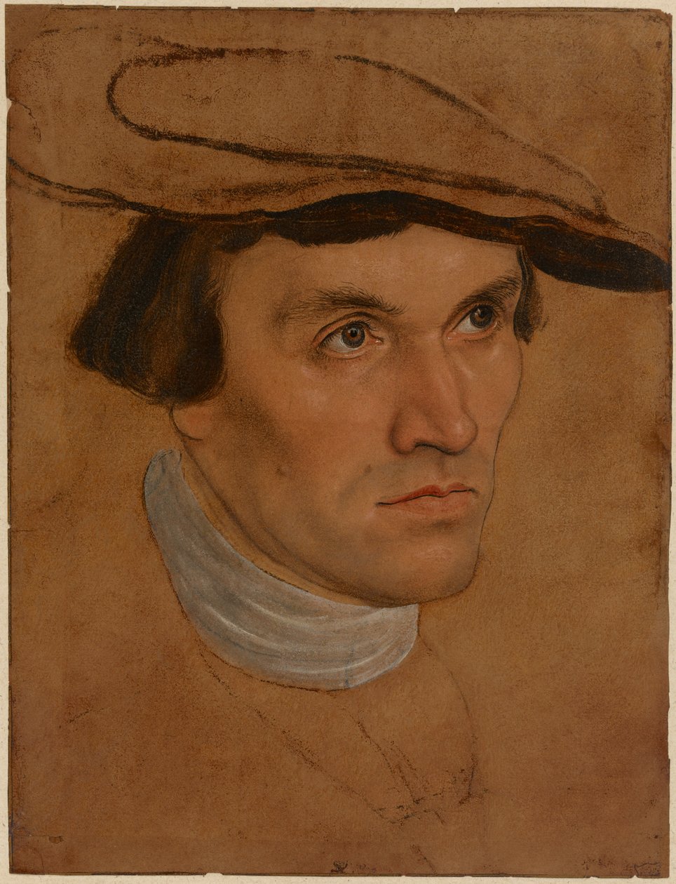 Portrait of a Man, c.1530 by Lucas the Elder Cranach