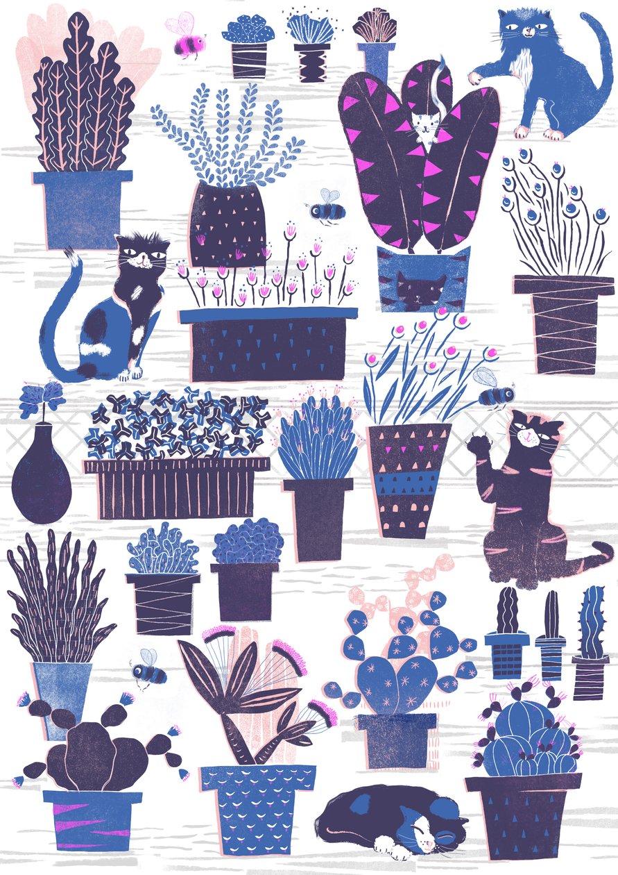 Cat Garden by Lucy Banaji