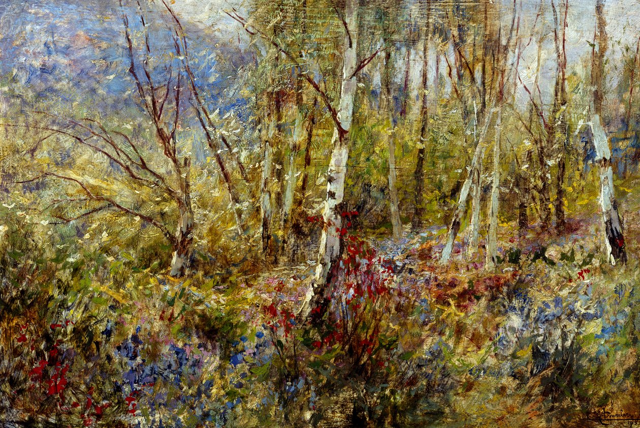 Woodland, by Ludovico Cavaleri by Ludovico Cavaleri