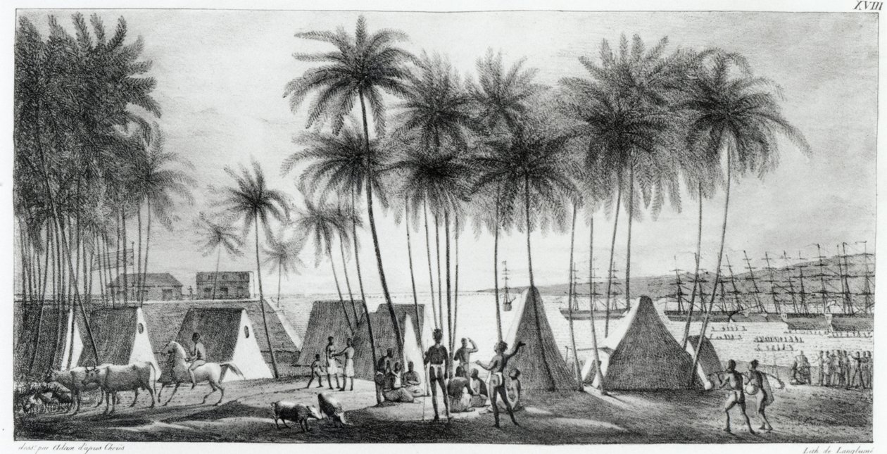 Port of Hanarourou in the Sandwich Islands, from 