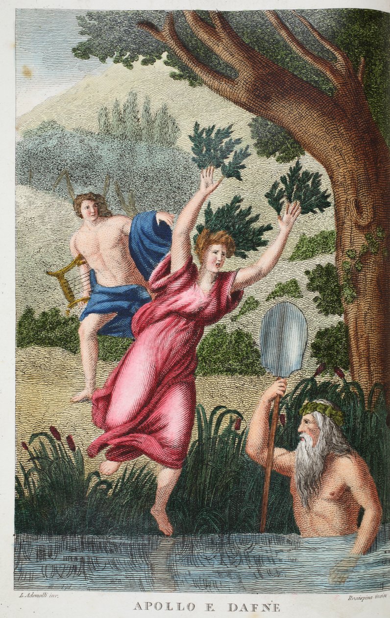 Phoebus and Daphne or Apollo and Daphne, illustration from Ovid's ...