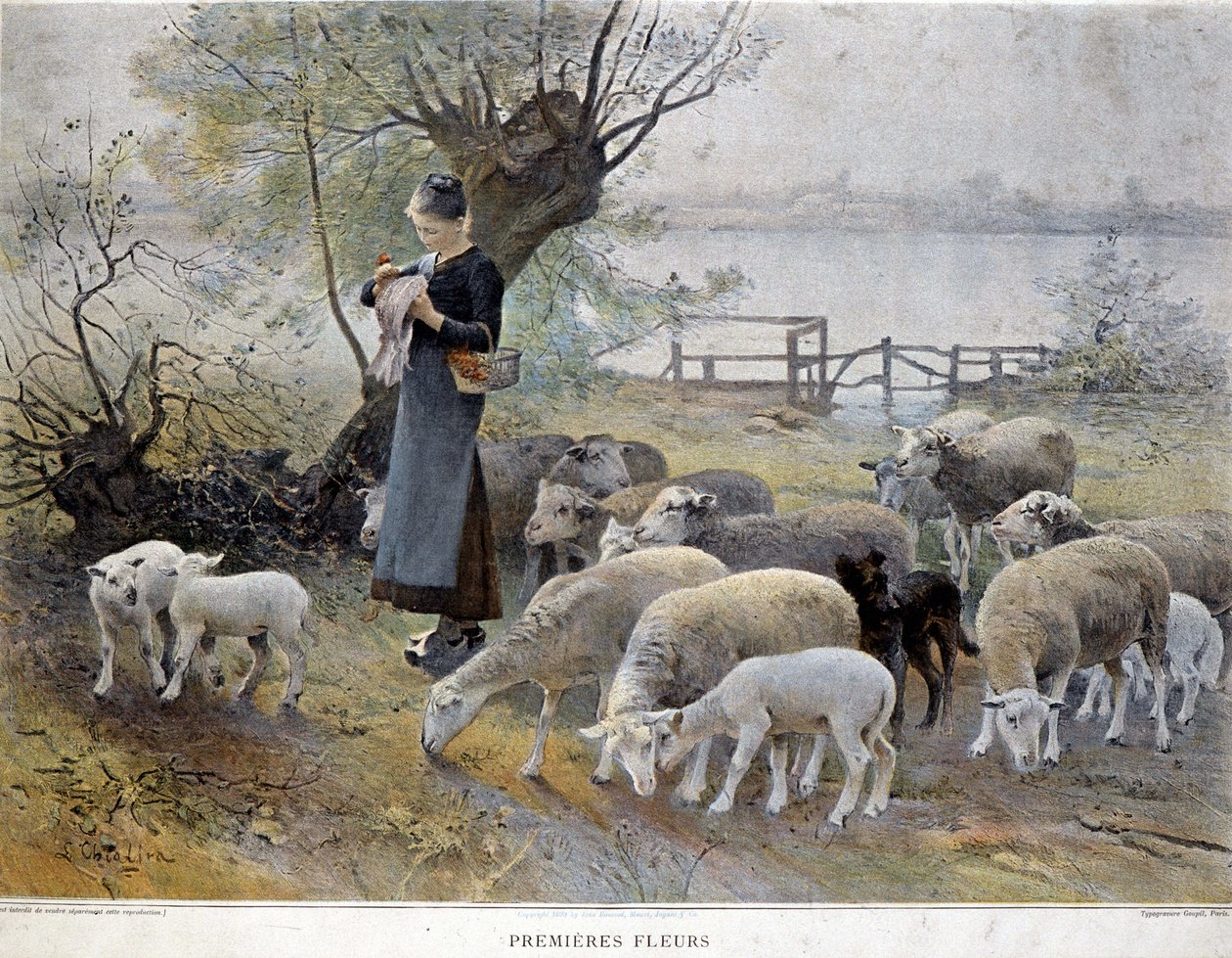 First Flowers: A shepherdess surrounded by her sheep stings flowers in her hat by Luigi Chialiva