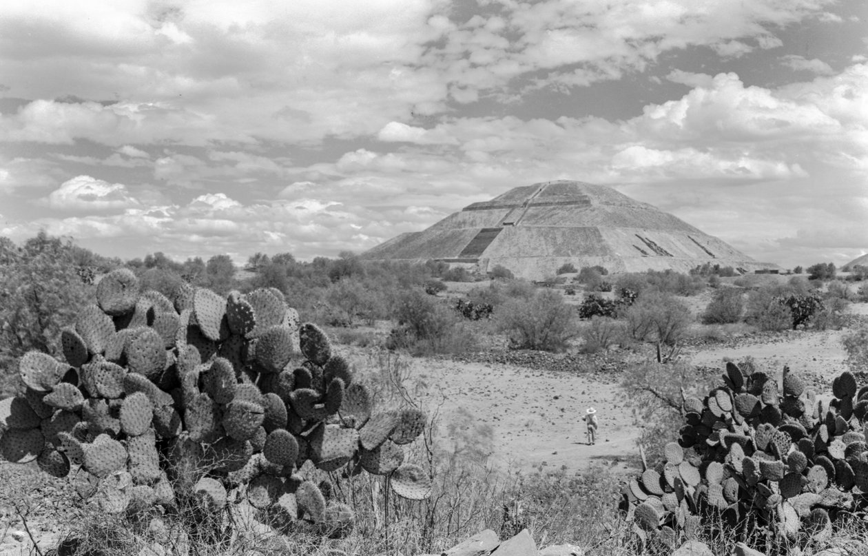 Mayan monumental pyramid, Yucatan peninsula, 1936 by Luis Marden