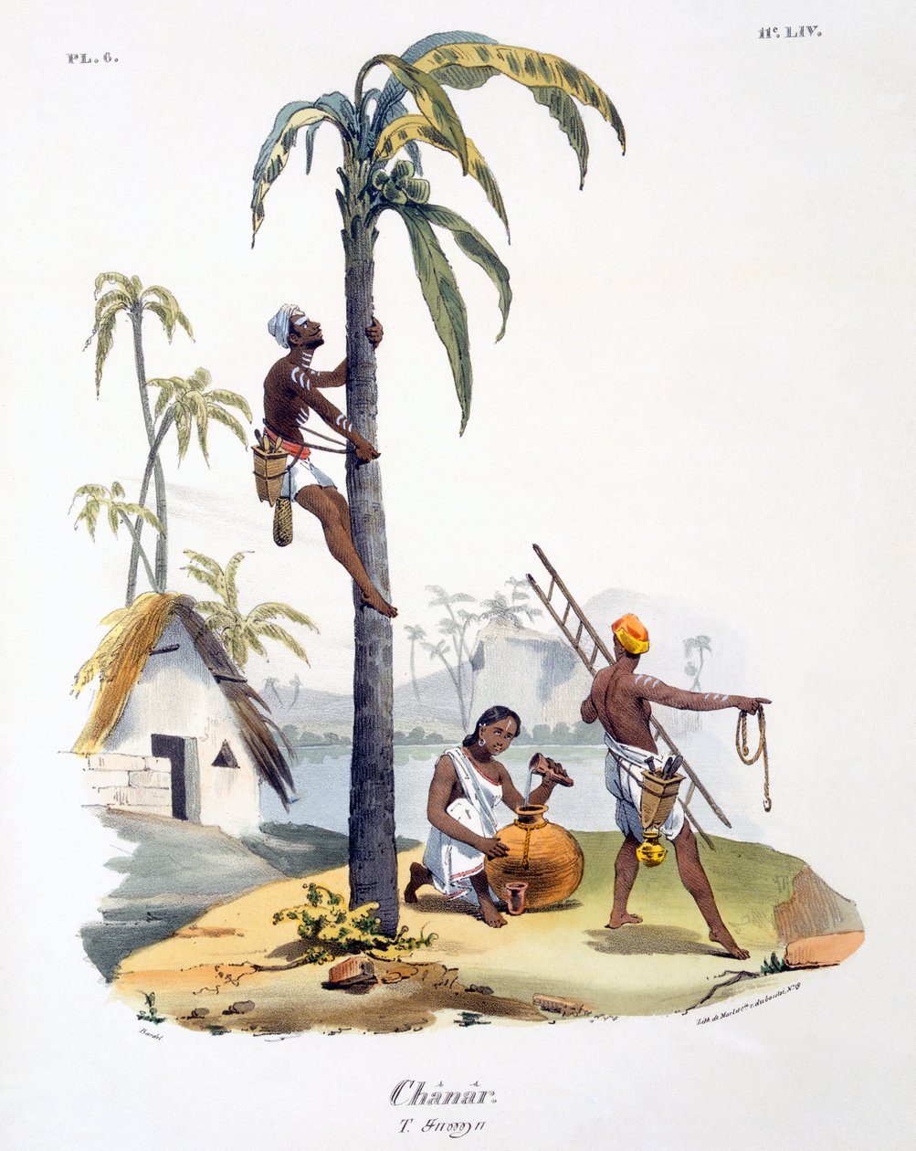 A Man of the Nadar caste climbing a palm tree by M.E. Burnouf