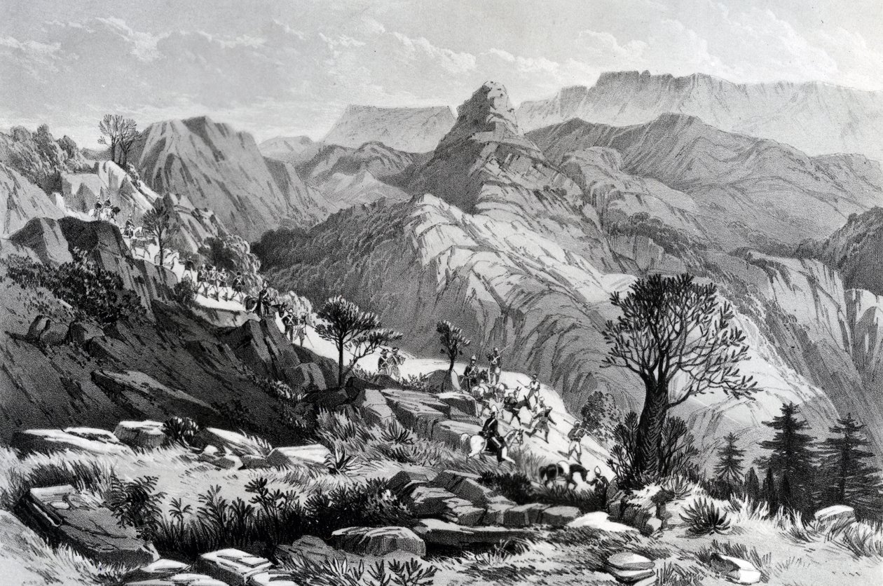 On the march near Dongolo, engraved by James Ferguson, 1868 by Major A.G.F. Hogg