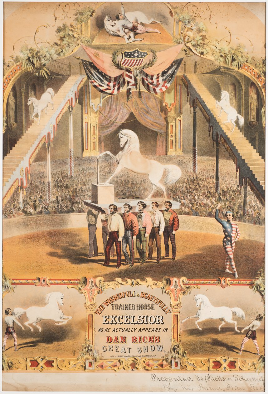 The Wonderful and Beautifully Trained Horse Excelsior by Major and Knapp Sarony