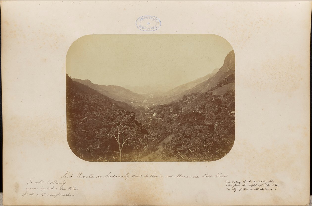 The Valley of Andarahy Seen from the Heights of Boa Vista by Marc Ferrez