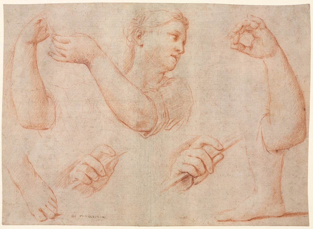 Study of a Young Woman Playing a Tambourine, and Studies of an Arm, Hands, and Feet, c. 1711 by Marcantonio Franceschini
