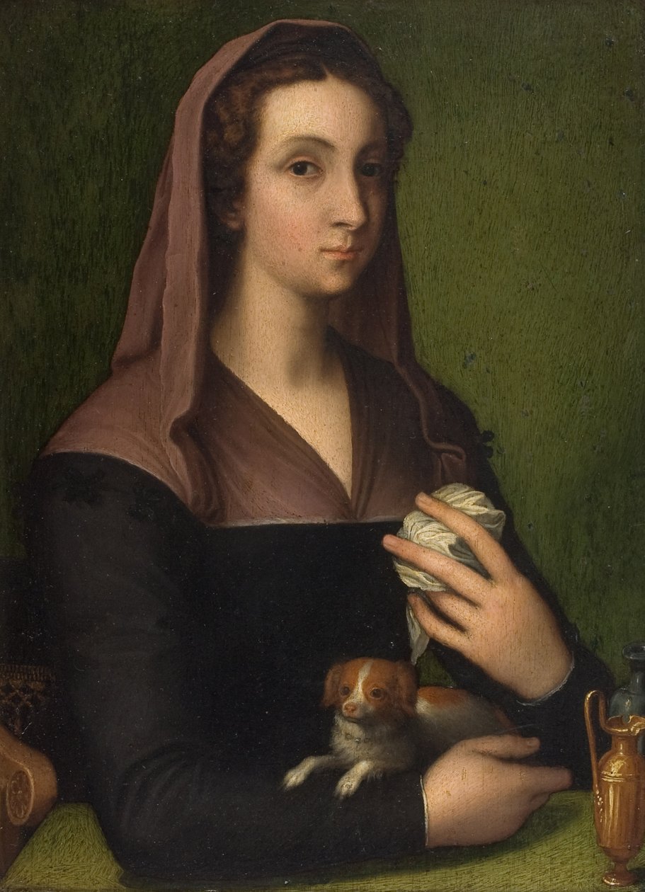 A portrait of a lady by Marcello (follower of) Venusti