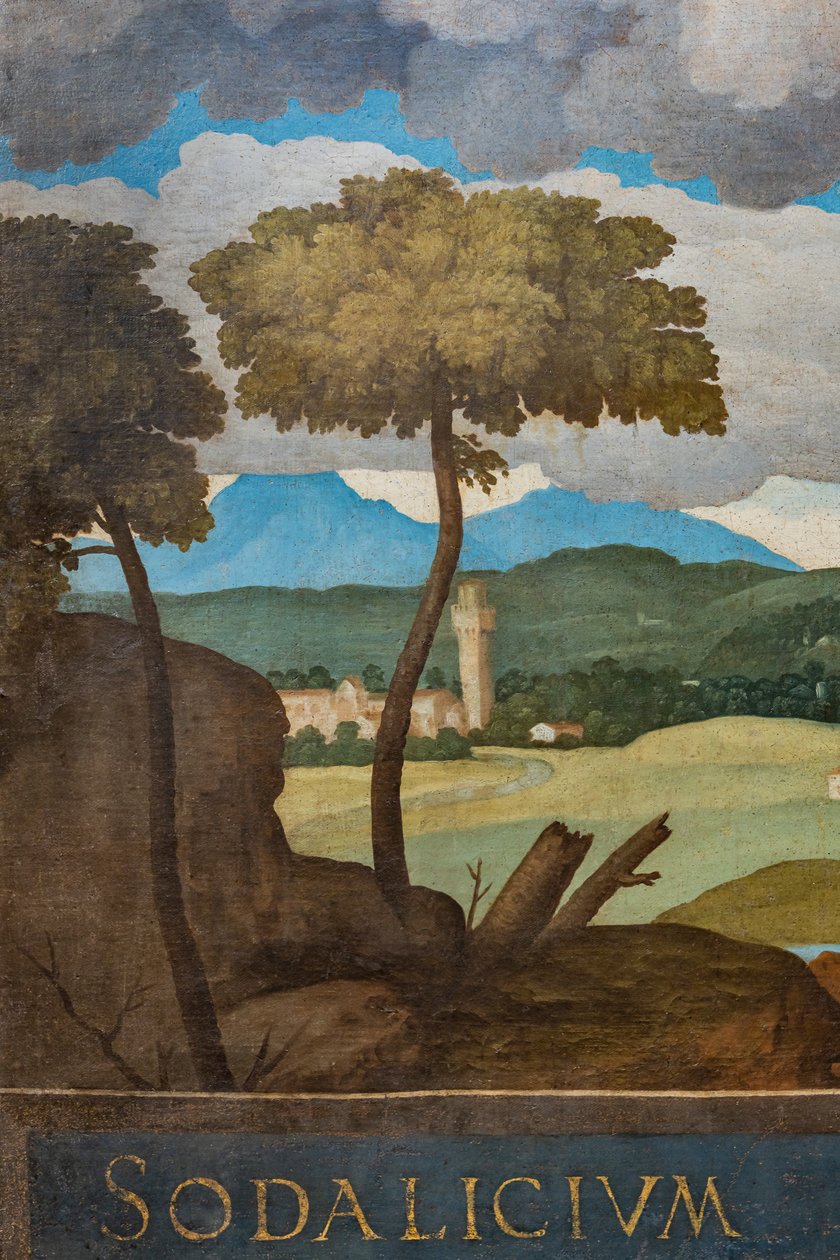 Detail of the City of Vicenza by Marcello Fogolino