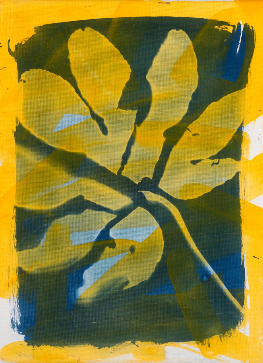 Anatomy of a Leaf, 2023 by Marco Campedelli
