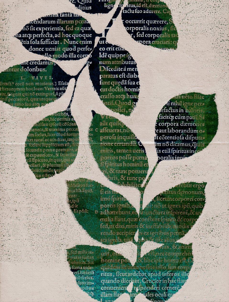 Leaves by Marco Campedelli