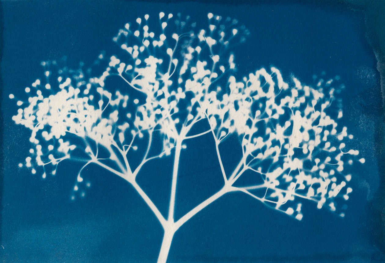 Letters by Marco Campedelli