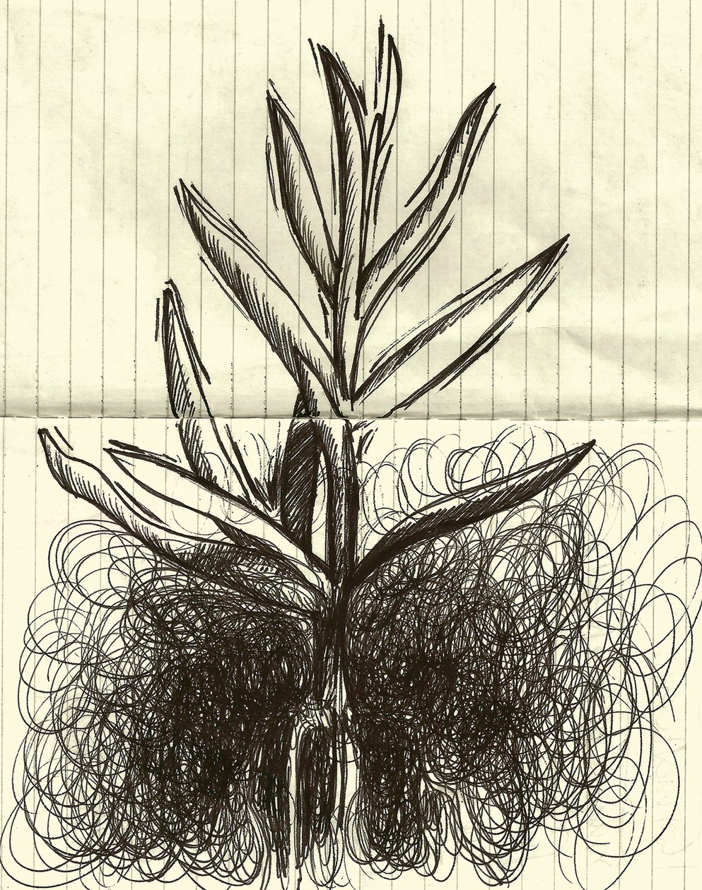 Plant by Marco Campedelli