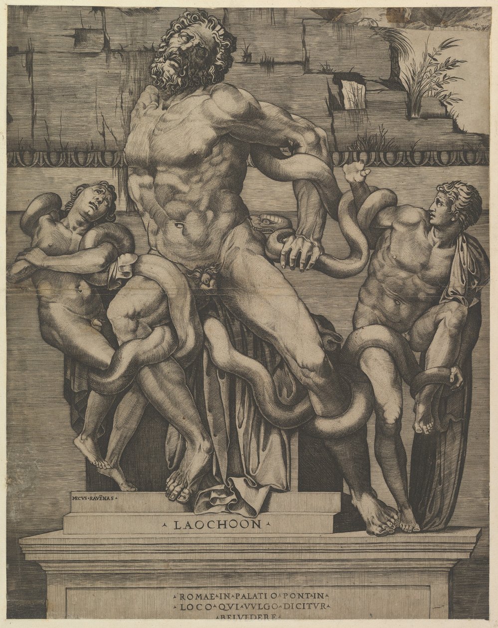Speculum Romanae Magnificentiae: Laocoon by Marco Dente