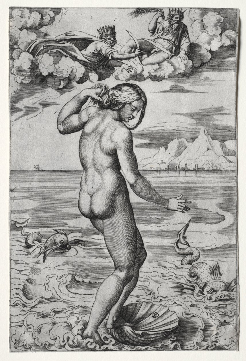 The Birth of Venus by Marco Dente