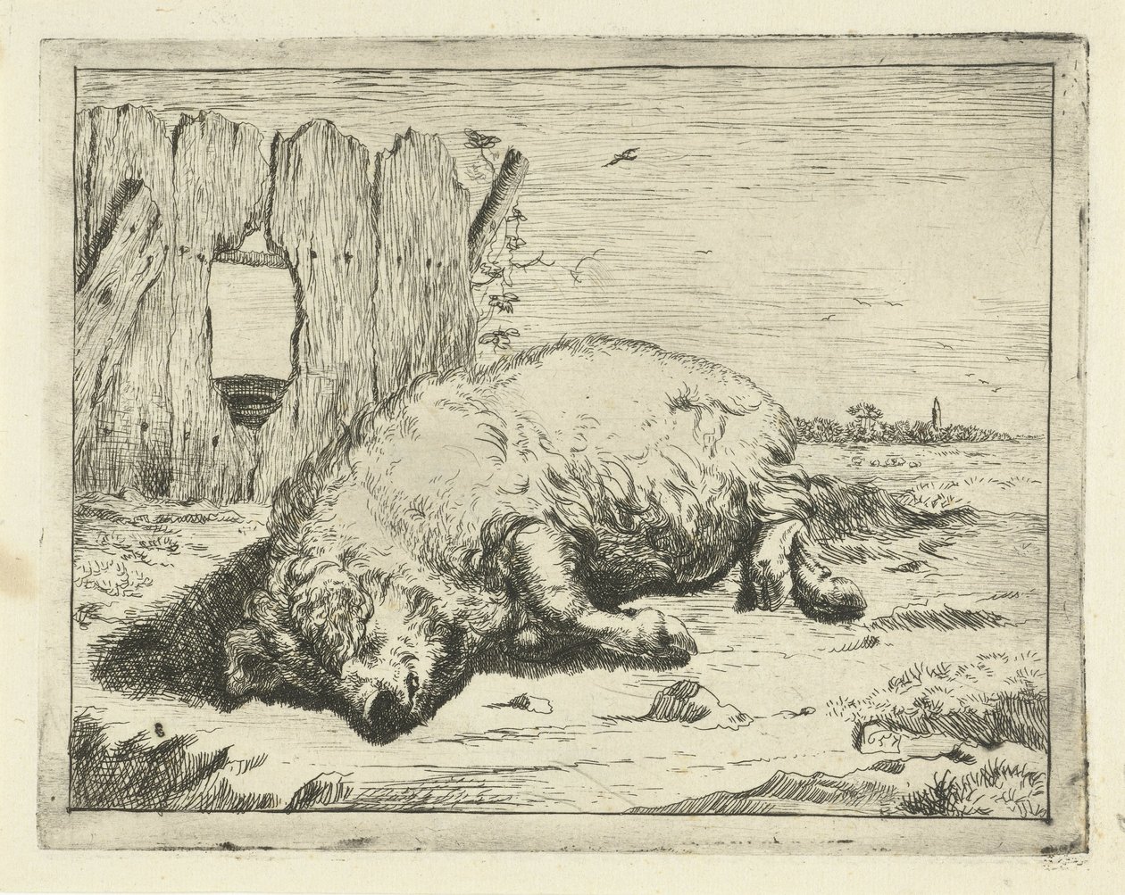 Lying Pig by Marcus de Bye