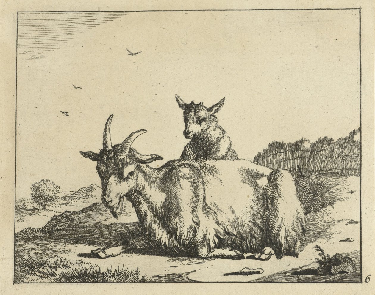 Lying Goat with Lamb by Marcus de Bye