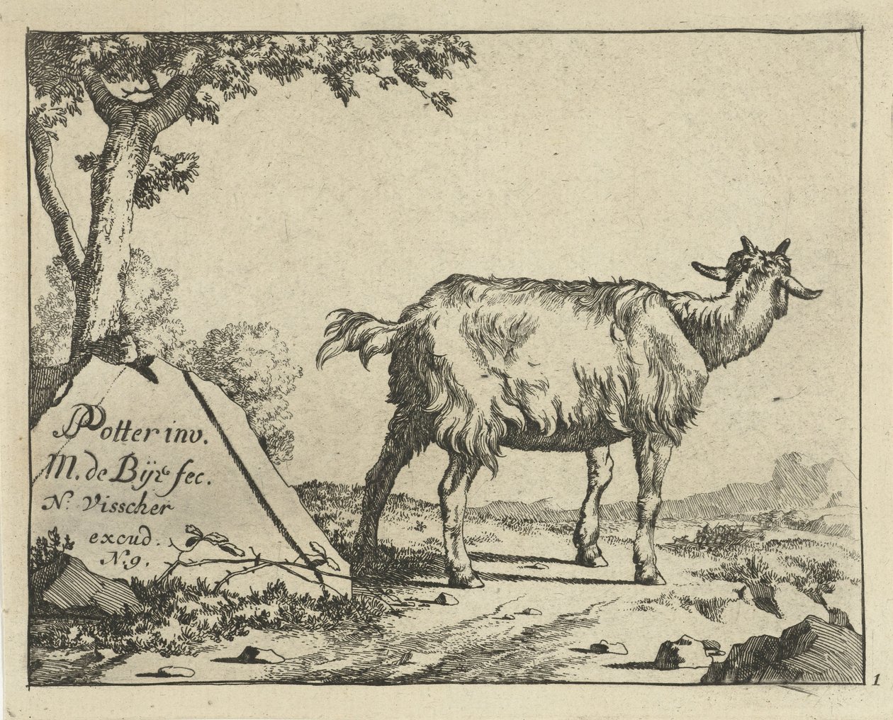 Standing Goat Seen from Behind by Marcus de Bye