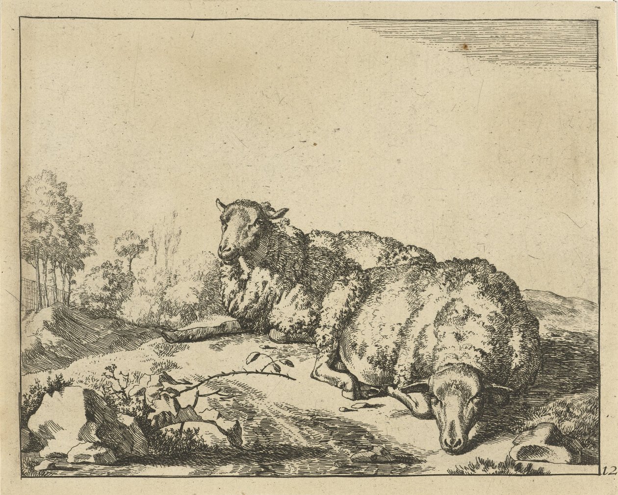 Two Sheep Lying by a Bramble by Marcus de Bye