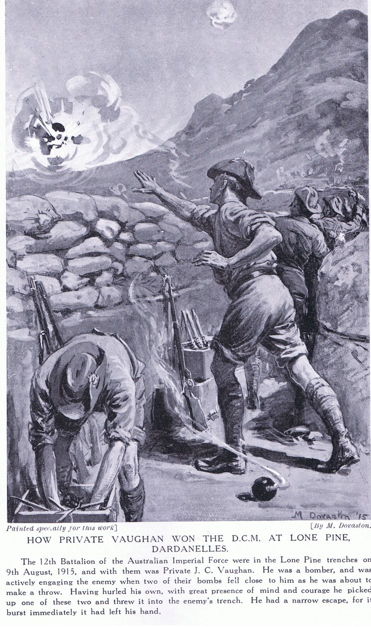How Private Vaughan Won the DCM at Lone Pine Dardanelles August 1915 by Margaret Dovaston