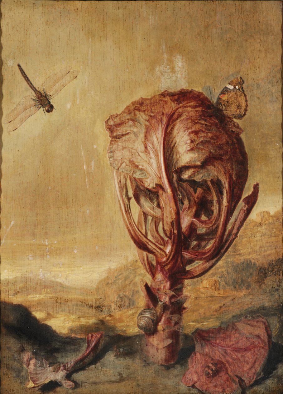 A Red Cabbage, a Snail, a Butterfly, a Dragonfly, a Bee and a Wood Louse in a Landscape by Margarethe de Heer