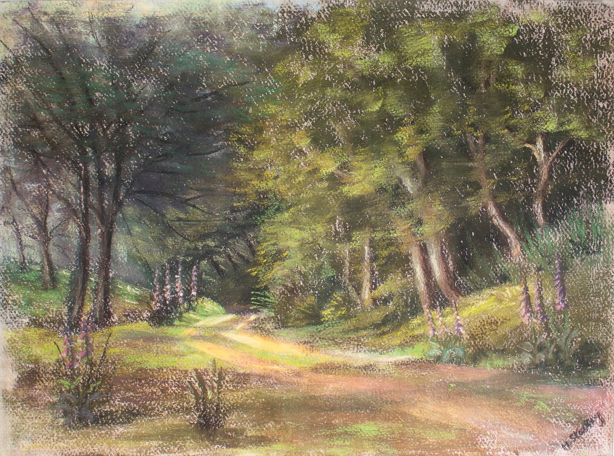 Walk in the Woods, Somerset by Margo Starkey