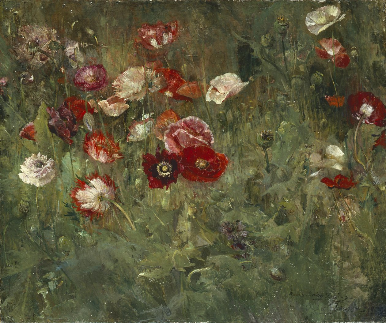 A Bed of Poppies by Maria Oakey Dewing