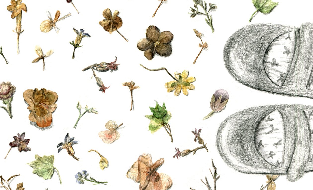 Pressed Flowers by Maria Basea