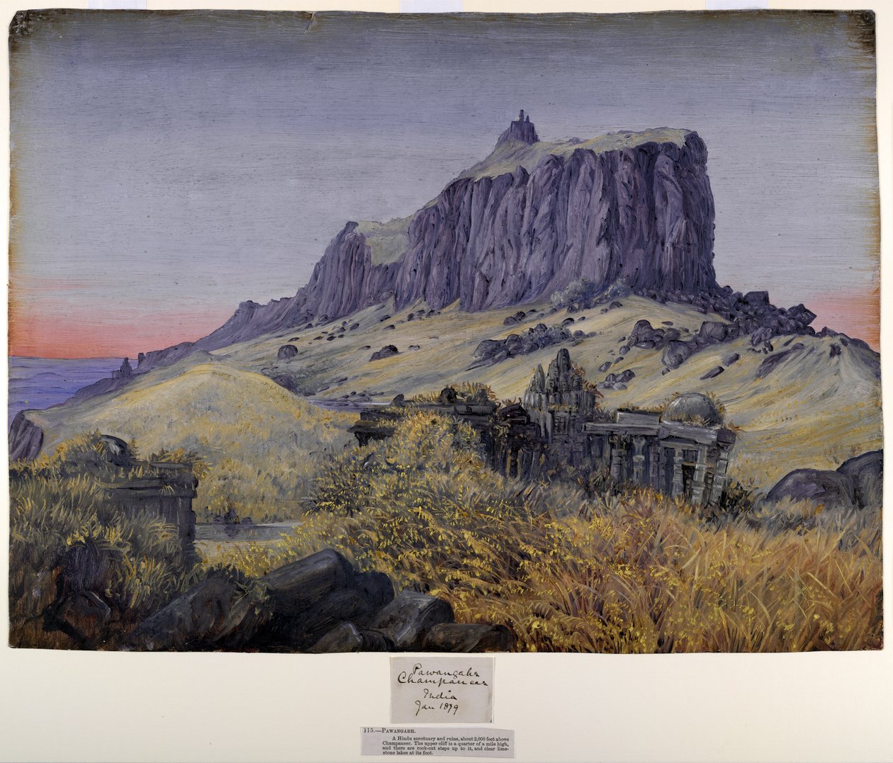 Pawanghar by Marianne North