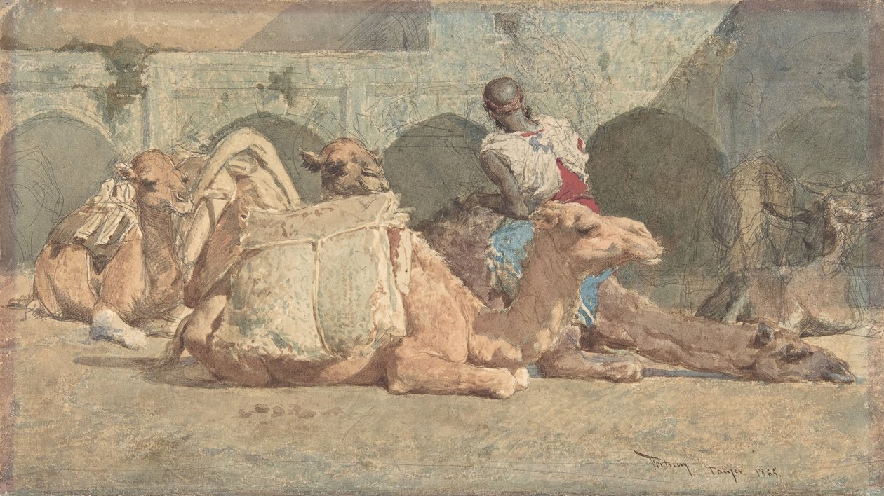 Camels Reposing, Tangiers by Mariano José María Bernardo Fortuny y Carbó