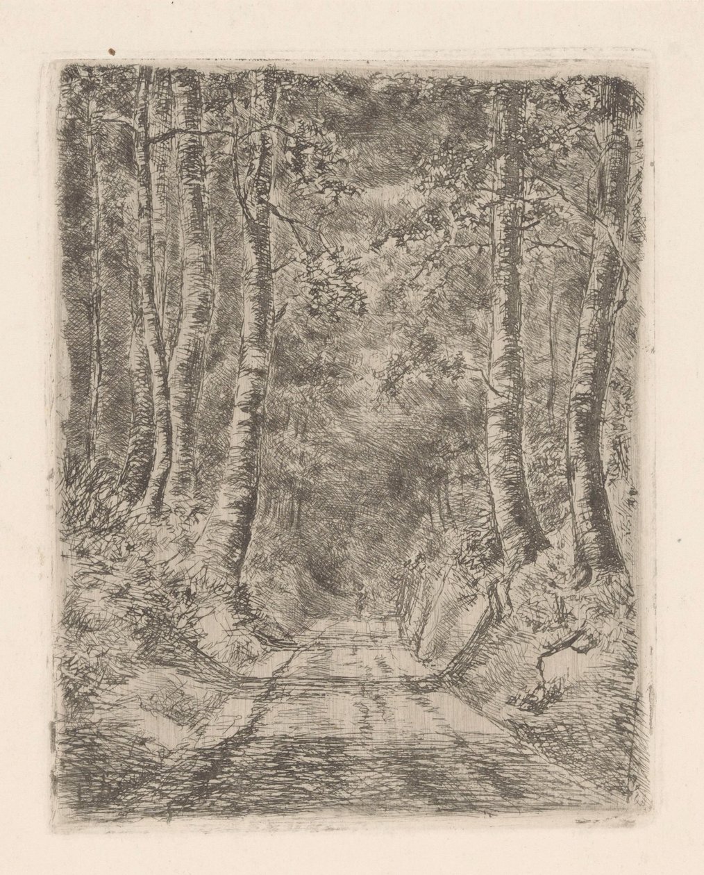 Forest Along a Hollow Road by Marie Adolphine van der Goes van Dirxland