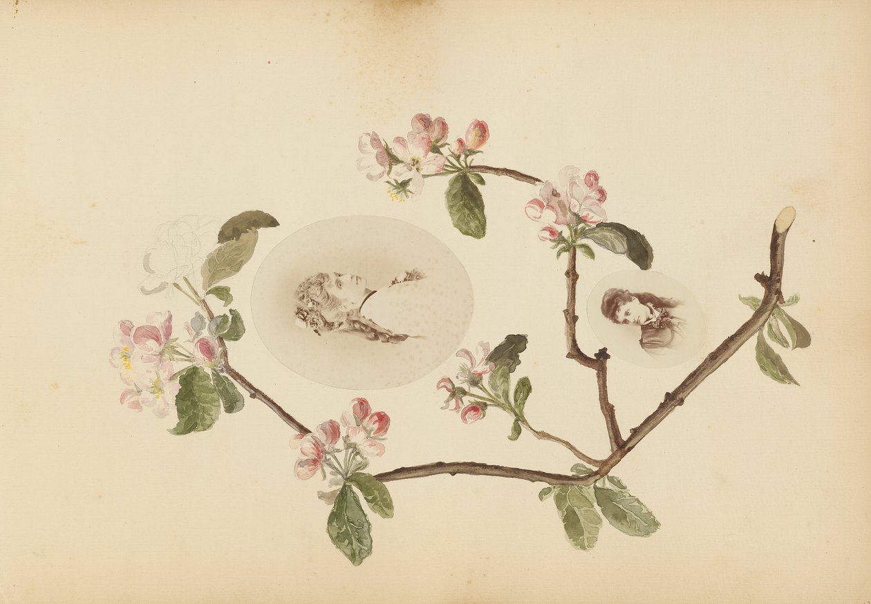 The Madame B Album by Marie Blanche Hennelle Fournier